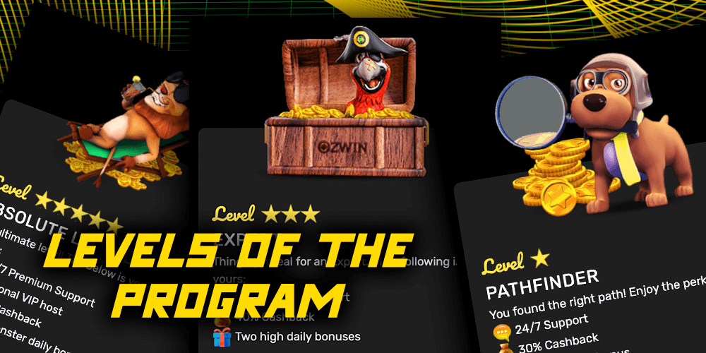 Levels of the loyalty program